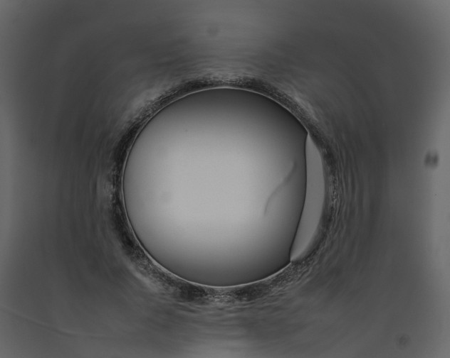 X0000092260736200710051319