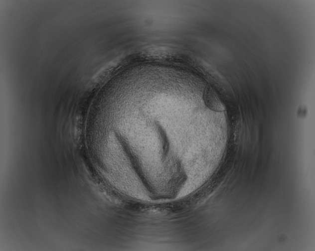 X0000092260737200710051319