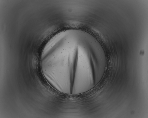 X0000092260739200710051319