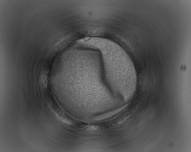 X0000092260741200710051319