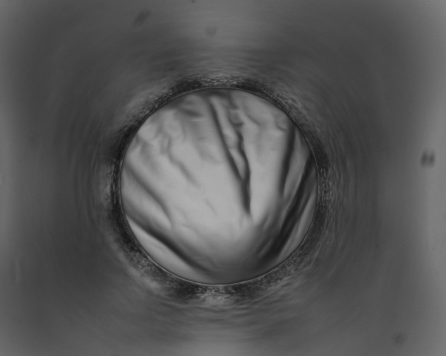 X0000092260742200710051319