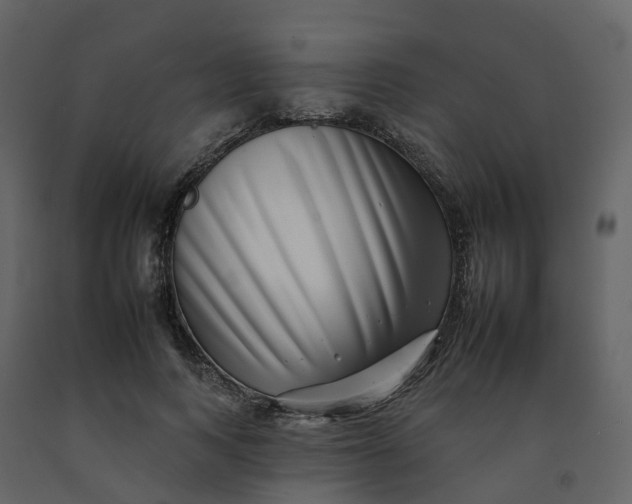 X0000092260743200710051319