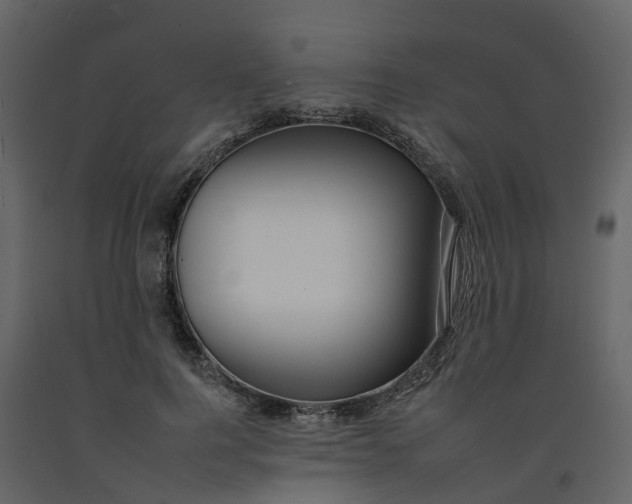 X0000092260744200710051319