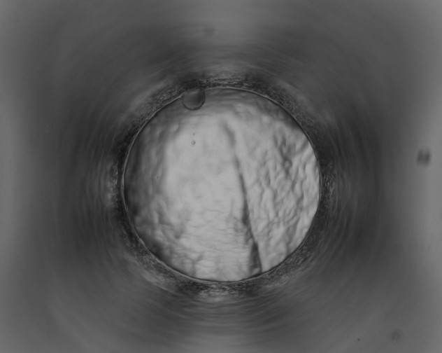 X0000092260745200710051319