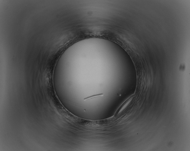 X0000092260747200710051319