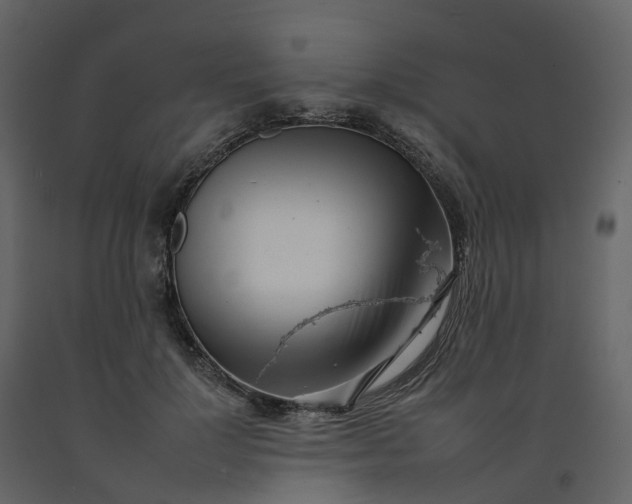 X0000092260748200710051319