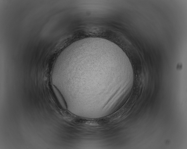 X0000092260749200710051319