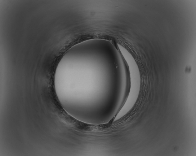 X0000092260750200710051319