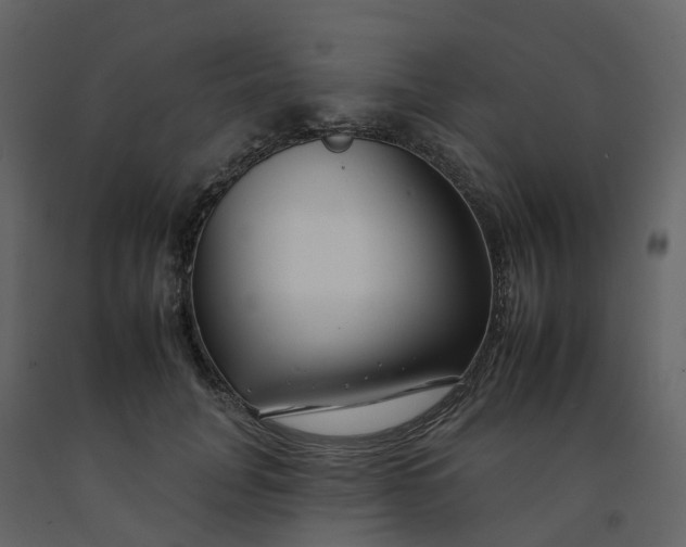 X0000092260751200710051319