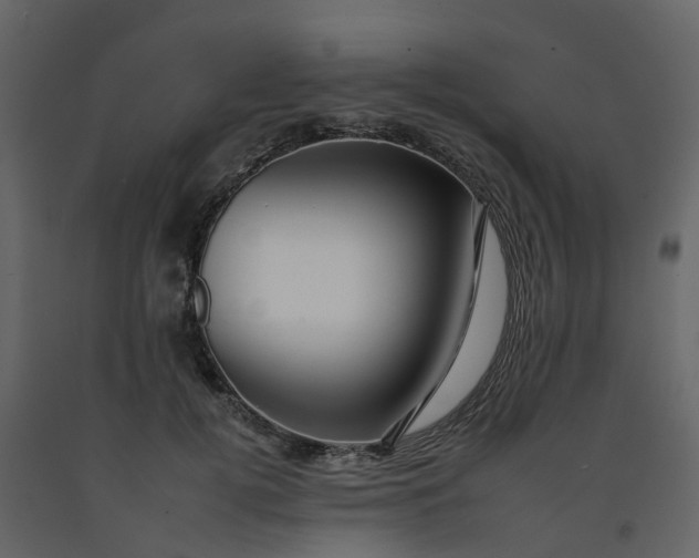 X0000092260752200710051319