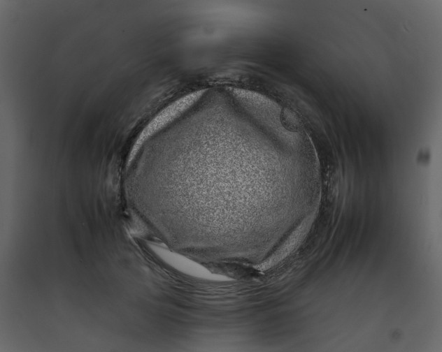 X0000092260753200710051319