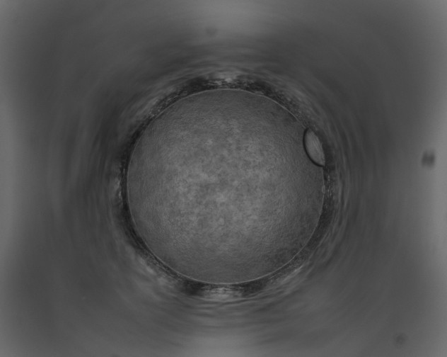 X0000092260754200710051319