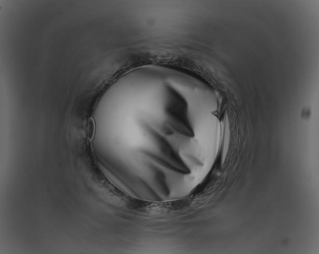 X0000092260756200710051319