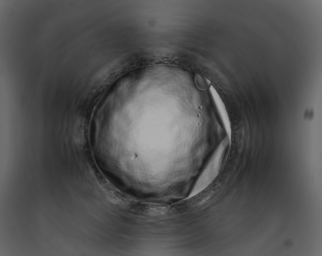 X0000092260757200710051319