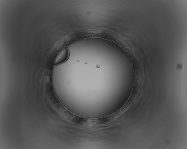 X0000092260758200710051319