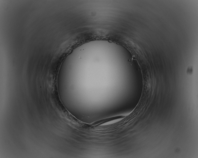 X0000092260759200710051319