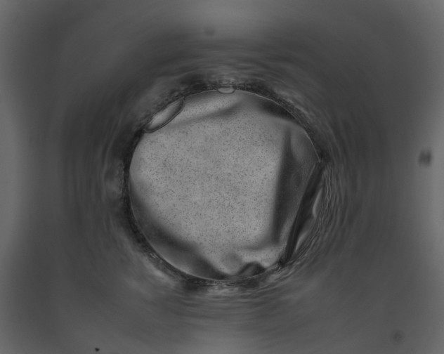 X0000092260760200710051319