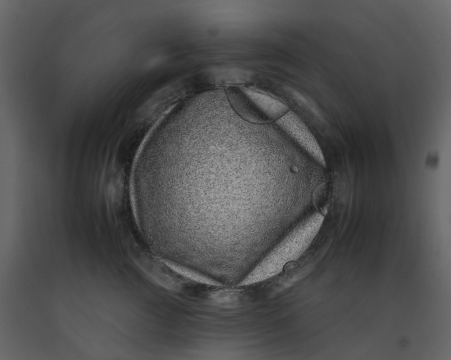 X0000092260761200710051319