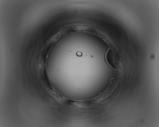 X0000092260763200710051319