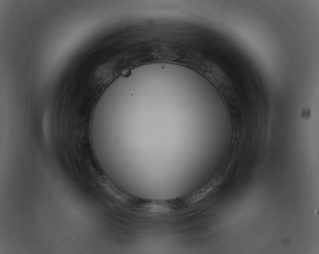 X0000092260765200710051319