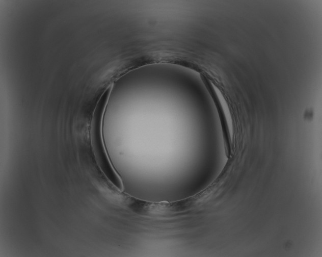 X0000092260766200710051319