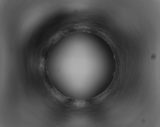 X0000092260767200710051319