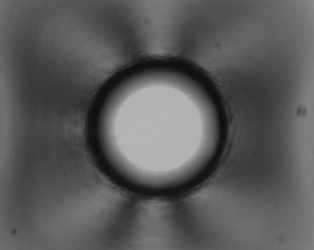 X0000092260768200710051319