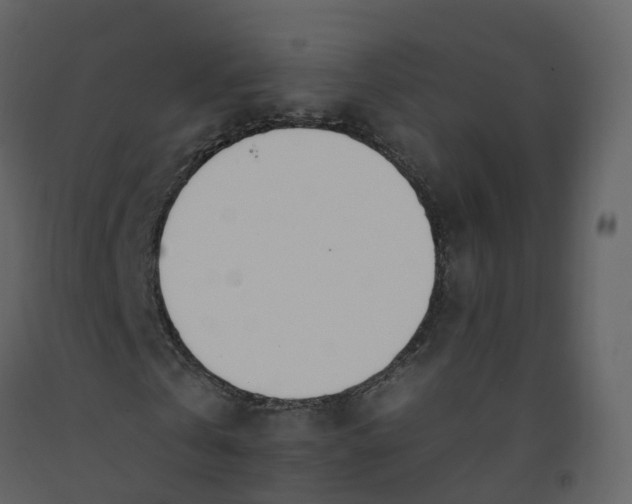 X0000092260769200710051318