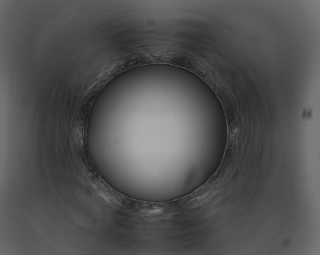 X0000092260772200710051318