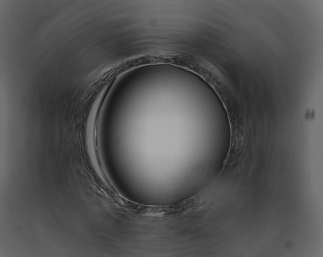 X0000092260773200710051318