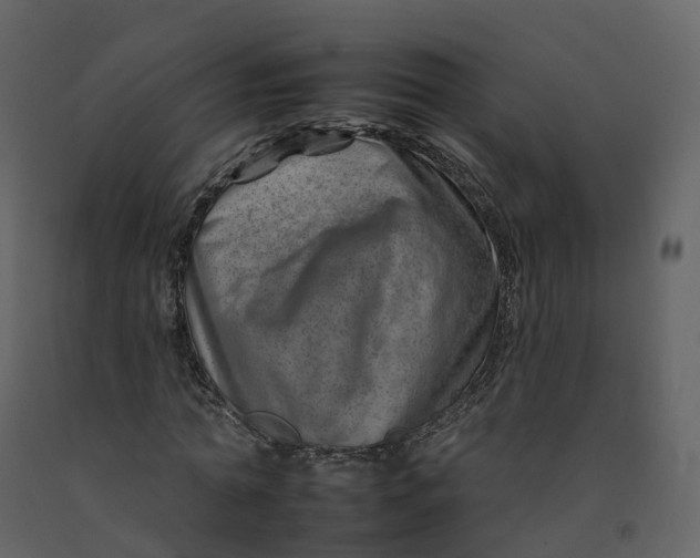 X0000092260774200710051318