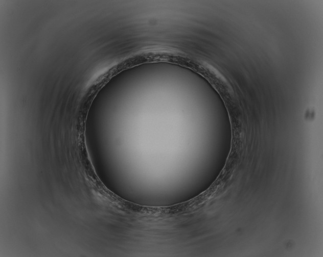 X0000092260775200710051318