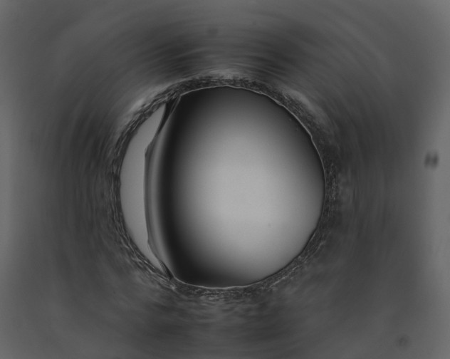 X0000092260776200710051318