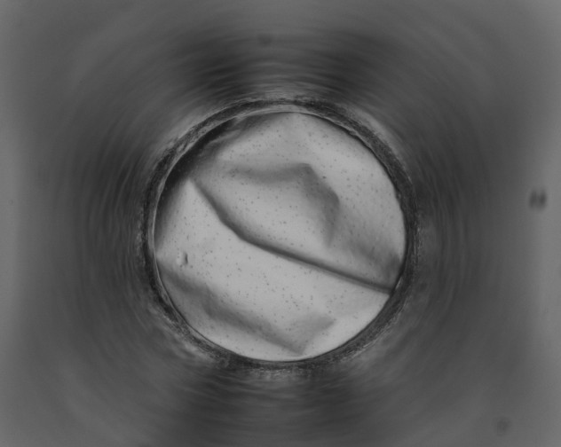 X0000092260778200710051318