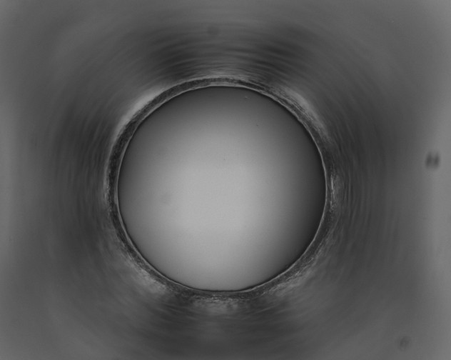 X0000092260780200710051318