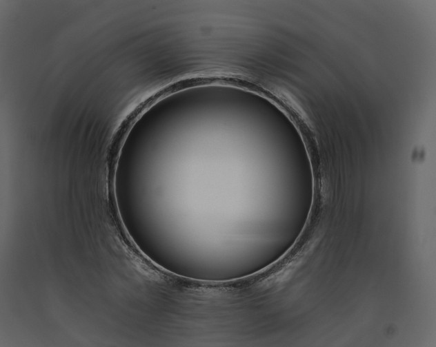 X0000092260781200710051318