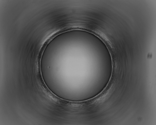 X0000092260782200710051318