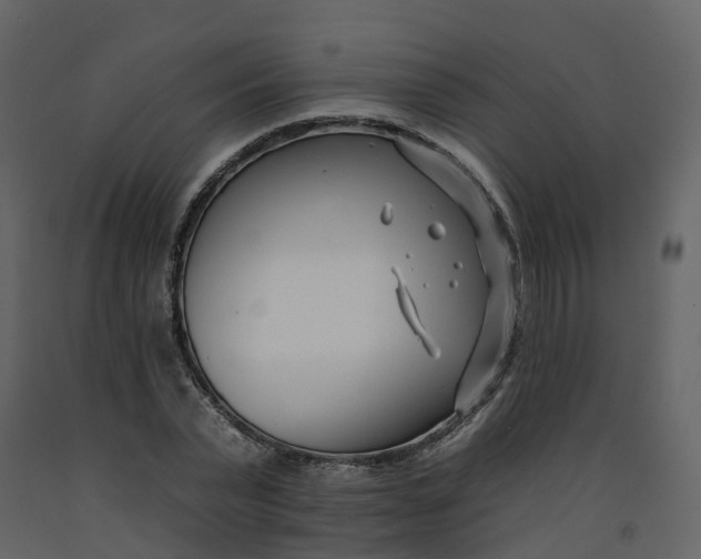 X0000092260783200710051318