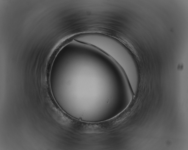 X0000092260784200710051318