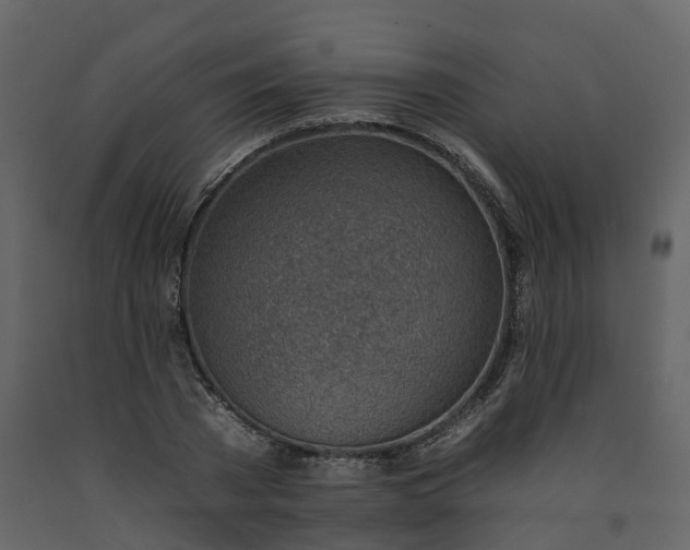 X0000092260785200710051318