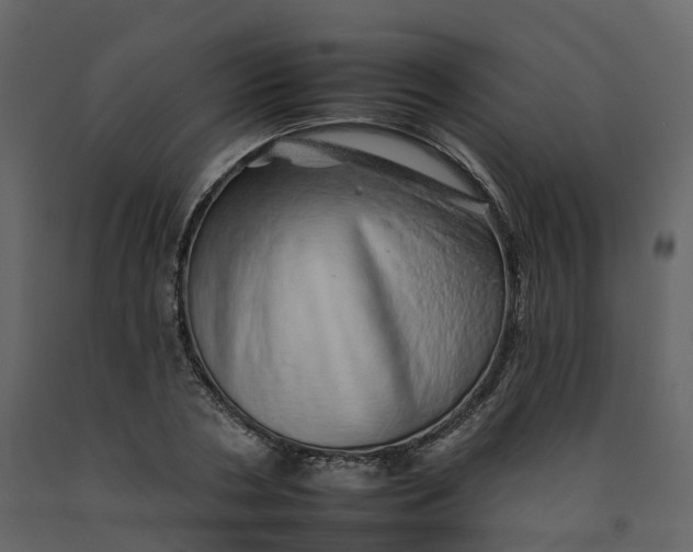 X0000092260786200710051318