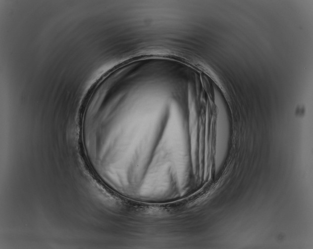 X0000092260787200710051318