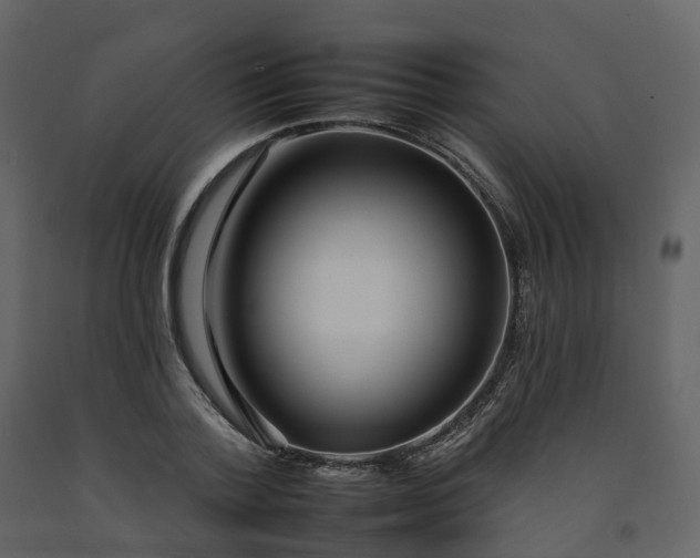 X0000092260788200710051318