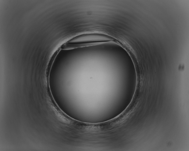 X0000092260789200710051318