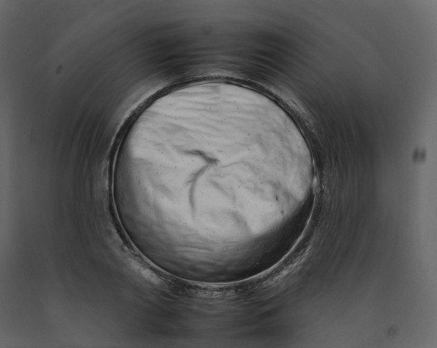 X0000092260790200710051318