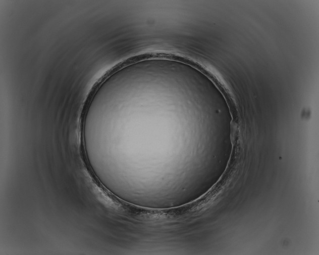 X0000092260791200710051318