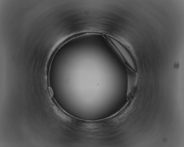 X0000092260792200710051318