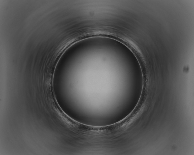 X0000092260793200710051318