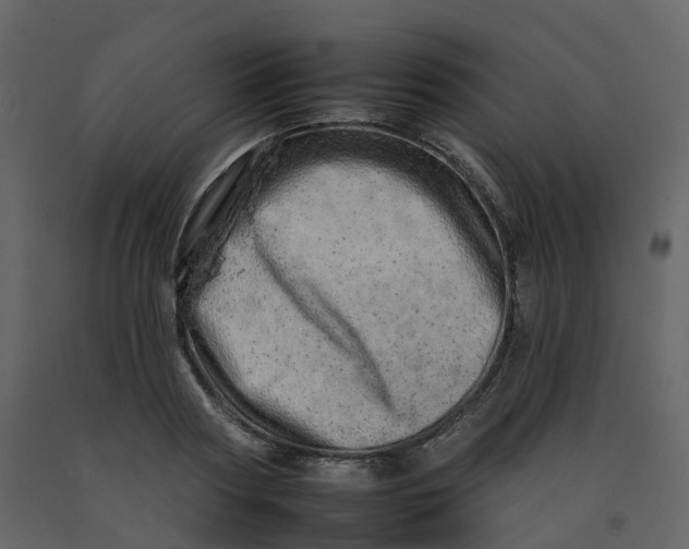 X0000092260794200710051318