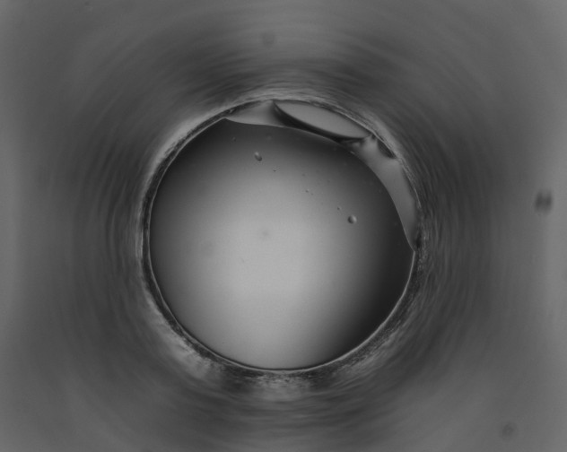 X0000092260795200710051318